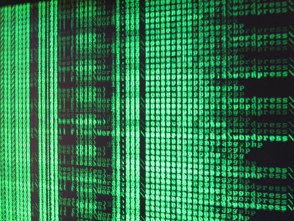 Layar terminal dengan baris perintah, gambar terkait celah PHP CVE-2026-109618 (Foto: n3wjack, CC BY-SA 2.0)
